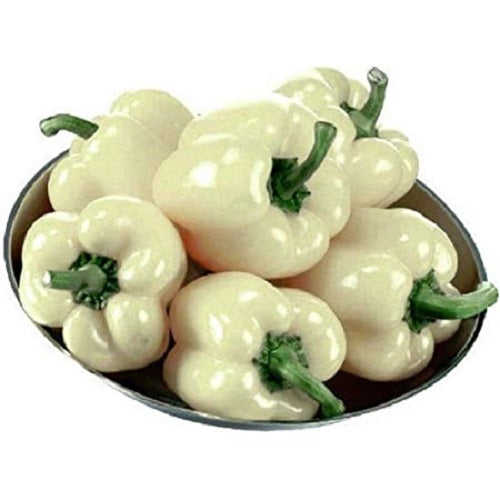 Capsicum Ivory White F1 Hybrid Shimla Mirch | Vegetable Seeds