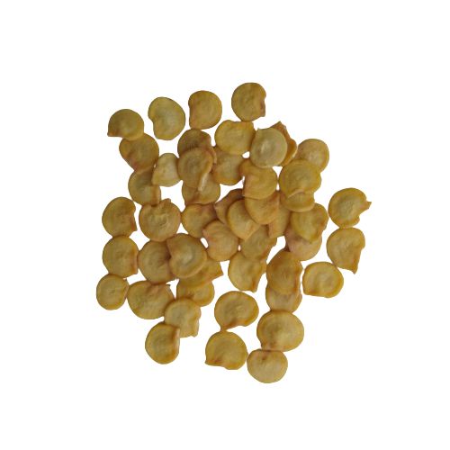 Capsicum Yellow Shimla Mirch Imported | Vegetable Seeds