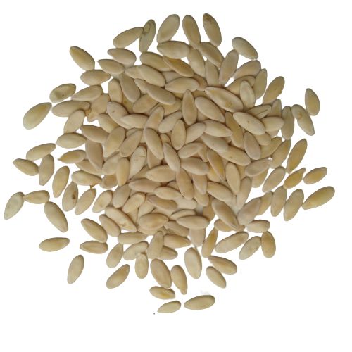 Long Foot Kachri Desi Seeds | Vegetable Seeds