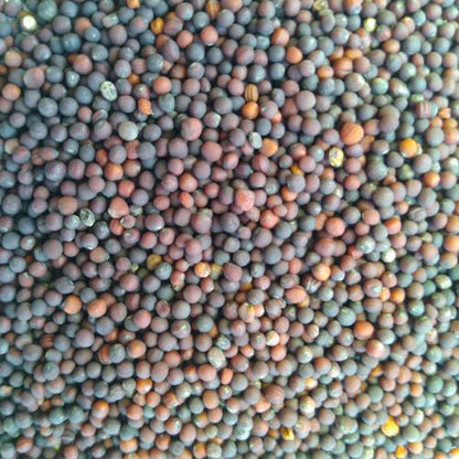 Mustard Sarso Saag Leaves | Vegetable Seeds