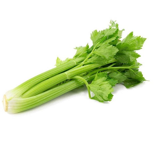 Celery Imported | Herb Vegetable Seeds