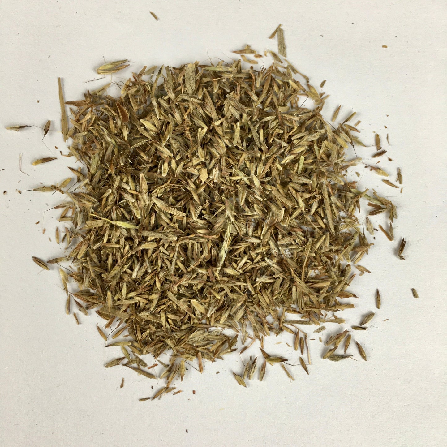 Lemon Grass Herb Seeds